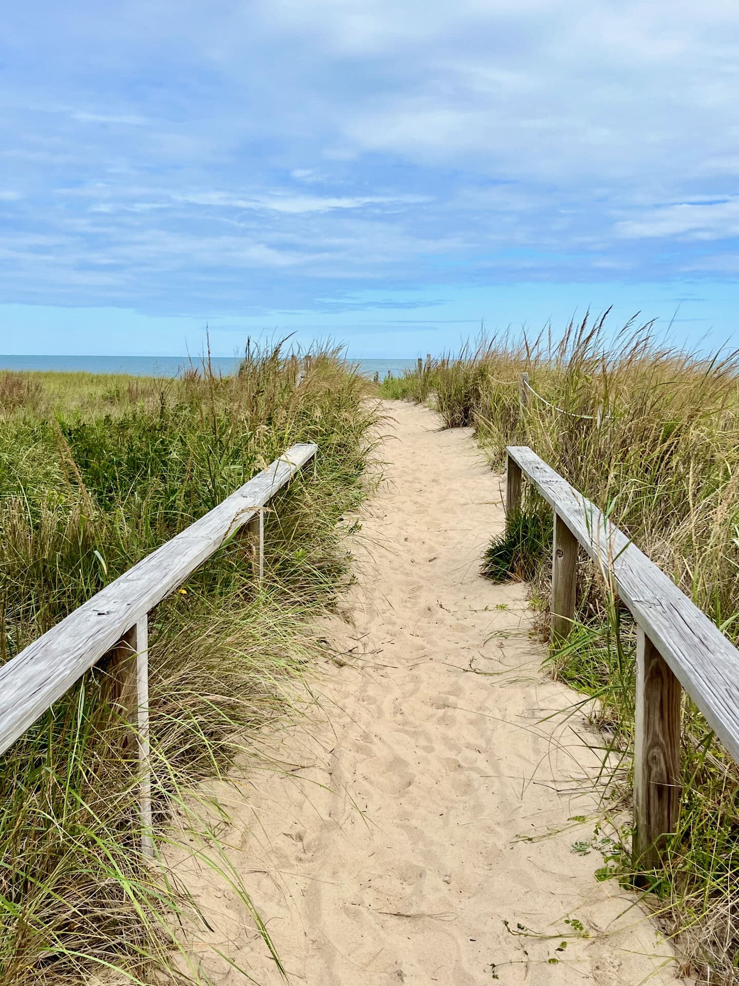 Beach path through the dunes