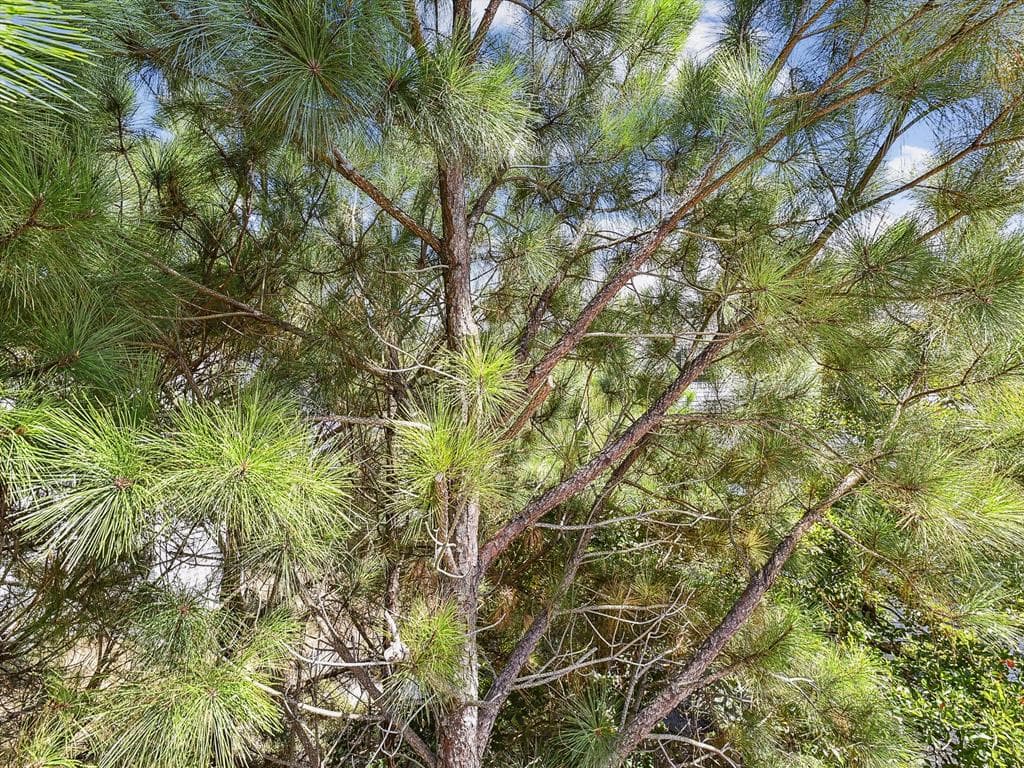 Weinstein - Photo 42