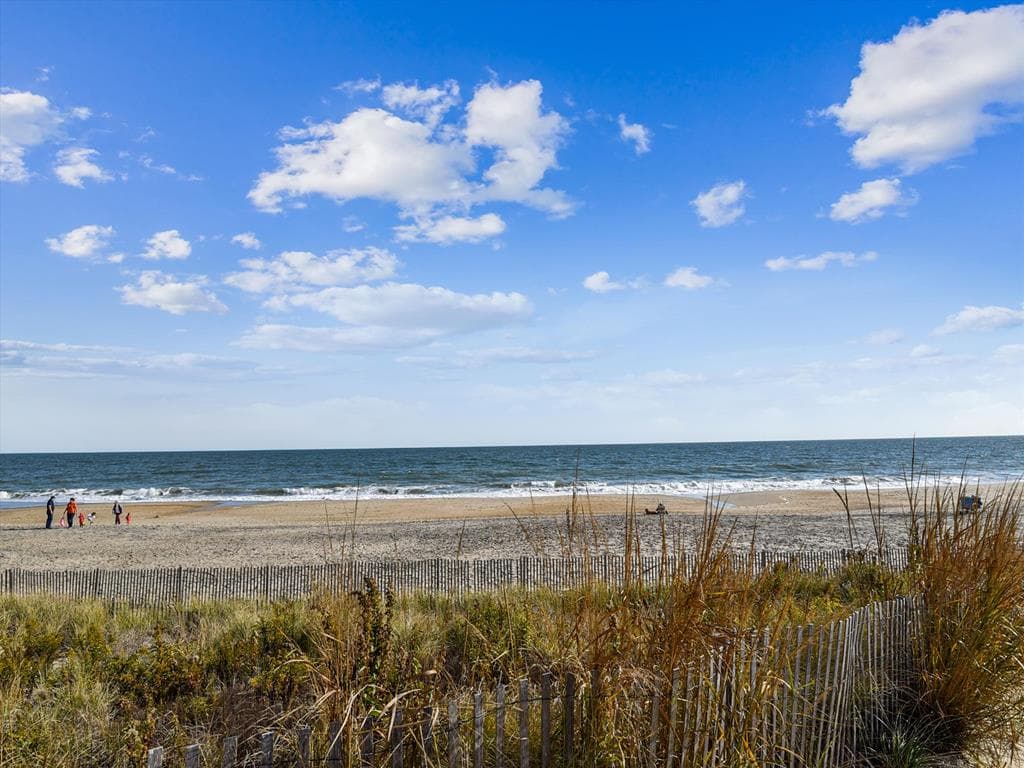 Forest Hill - Photo 13