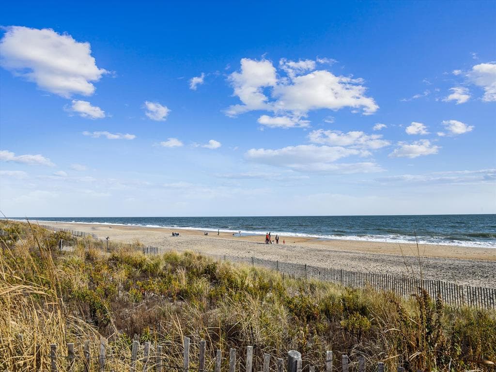 Forest Hill - Photo 14