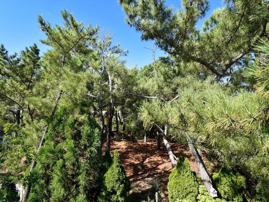 Von Fricken - Photo 55