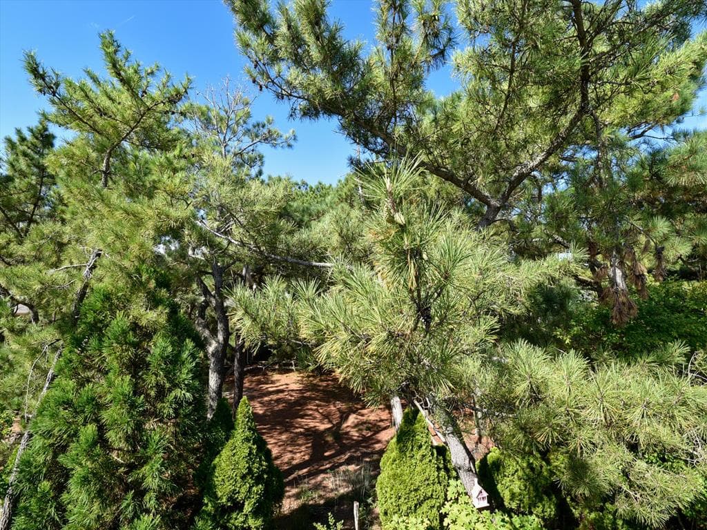 Von Fricken - Photo 56