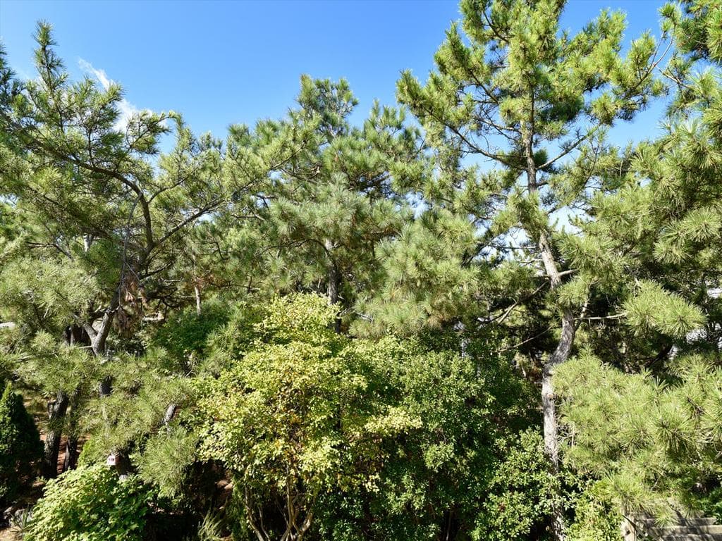 Von Fricken - Photo 59