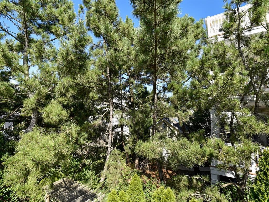 Von Fricken - Photo 60