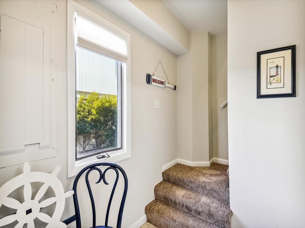 Schreiber - Photo 58