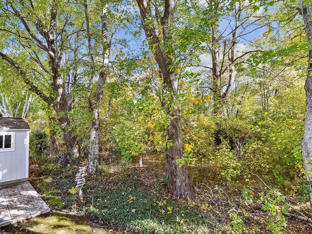 Layton BW - Photo 42