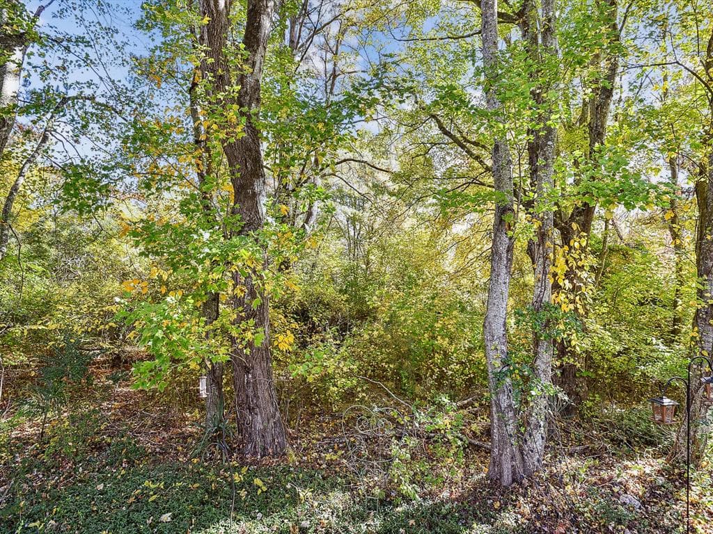 Layton BW - Photo 43