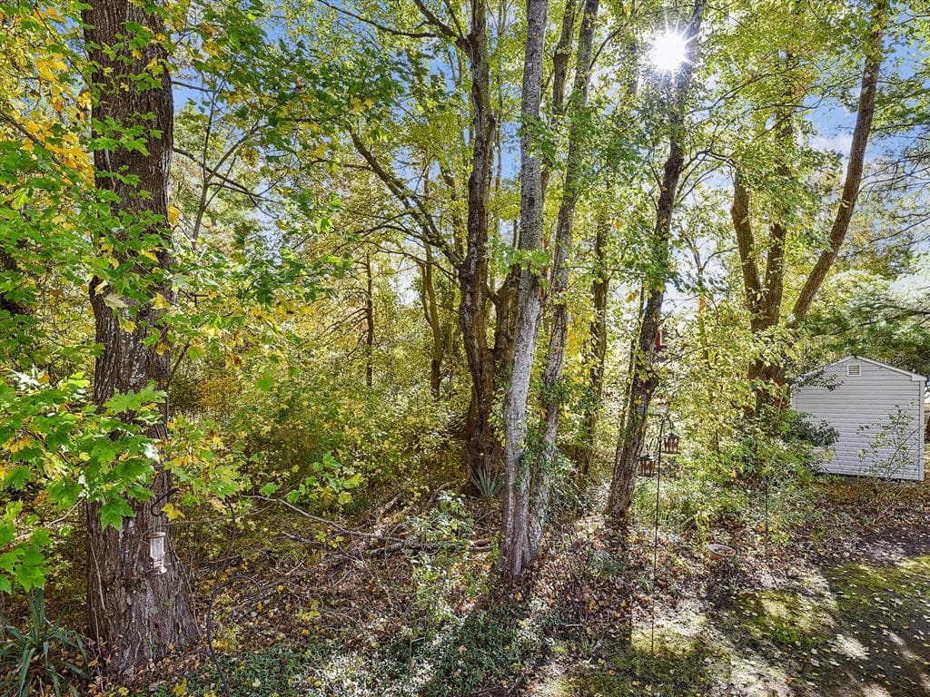 Layton BW - Photo 49