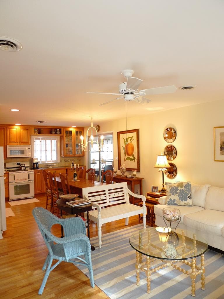 Living Area/Dining/Kitchen