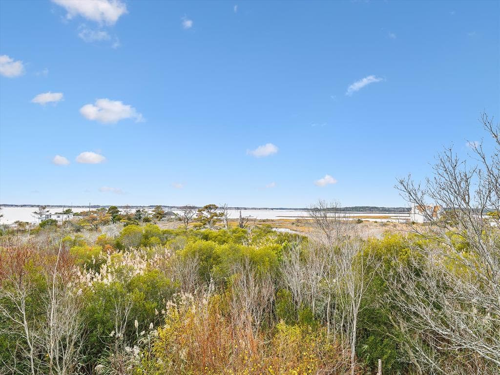 Tjoumas 2 - Photo 24