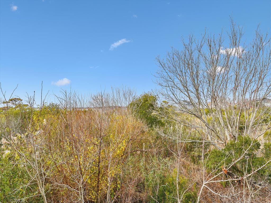 Tjoumas 2 - Photo 61