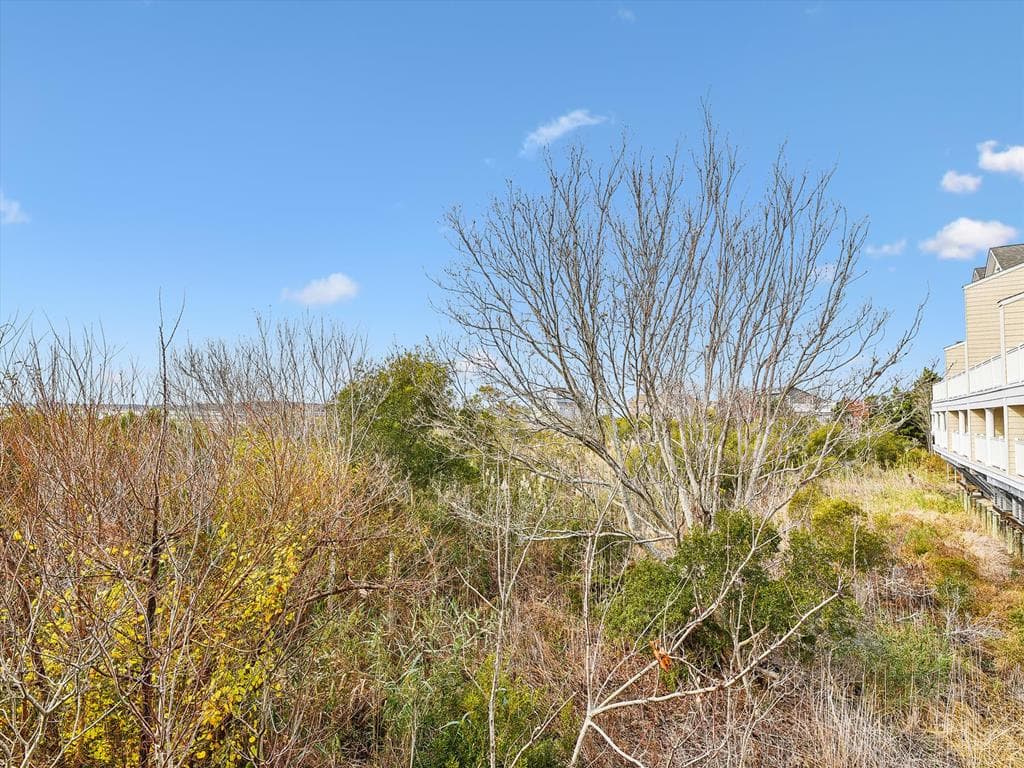 Tjoumas 2 - Photo 63