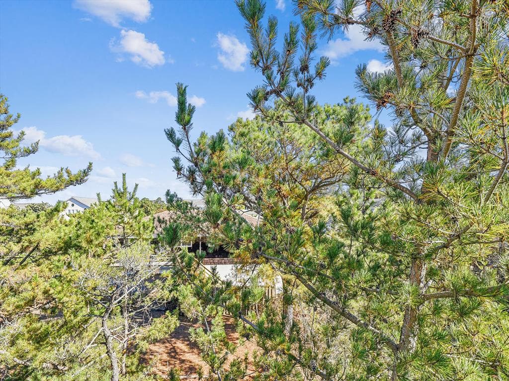 Costello CP - Photo 39