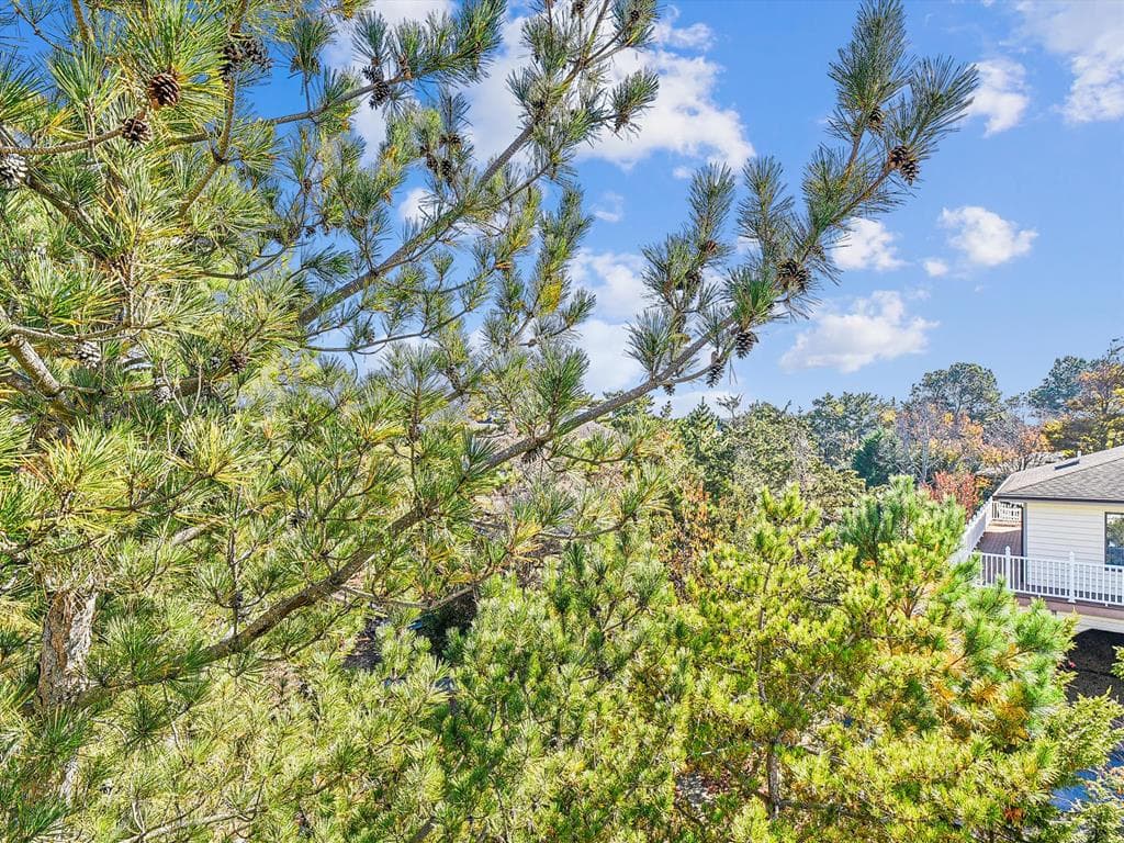 Costello CP - Photo 40