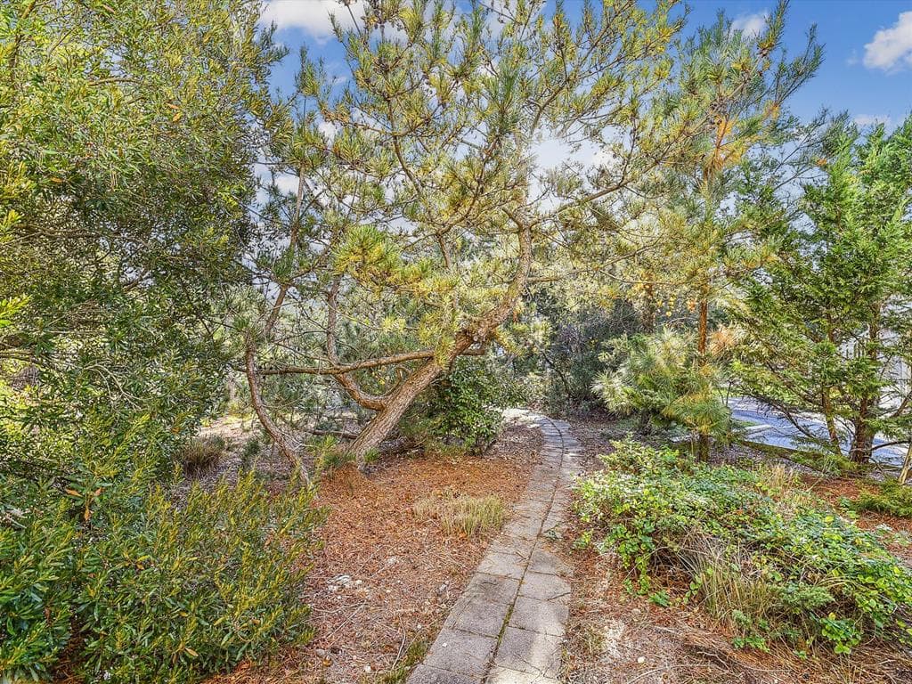 Costello CP - Photo 10