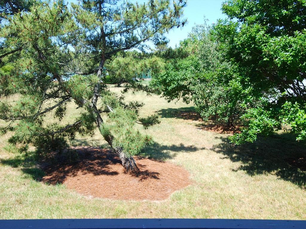 Weinstein - Photo 23