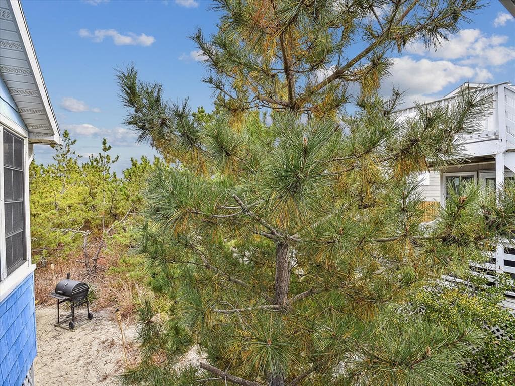 Johnson s Retreat - Photo 19