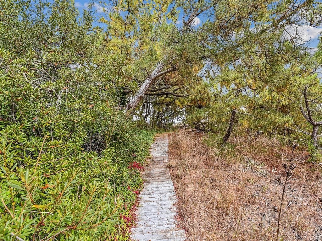 Johnson s Retreat - Photo 7