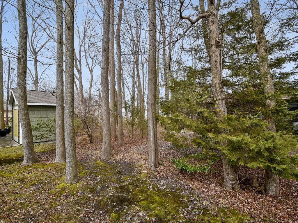 McGuire P - Photo 29