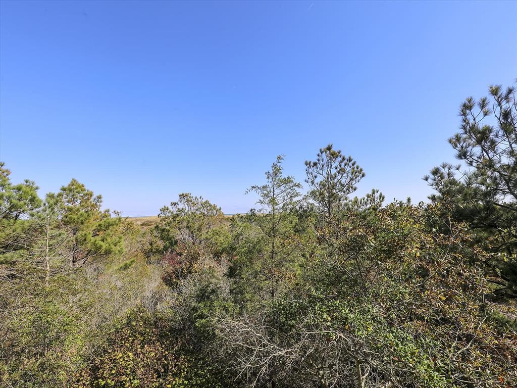 Streckfus - Photo 14