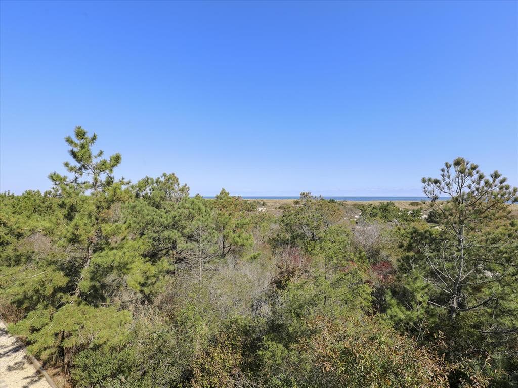 Streckfus - Photo 30