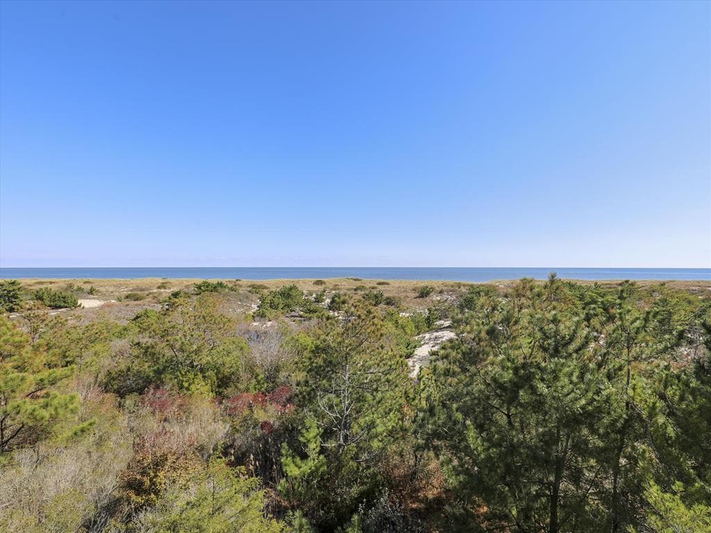 Streckfus - Photo 40