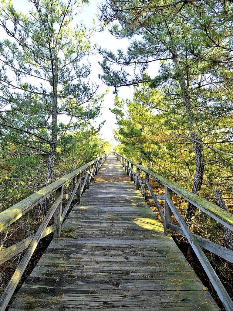 Streckfus - Photo 49