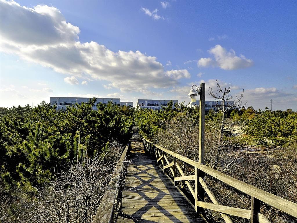 Streckfus - Photo 50