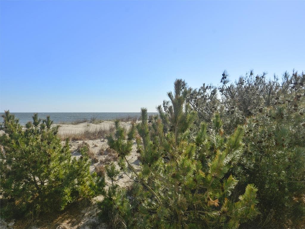 Tingle North - Photo 36