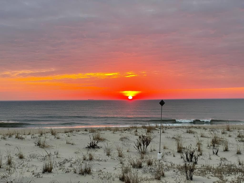 Sea Strand - Photo 16