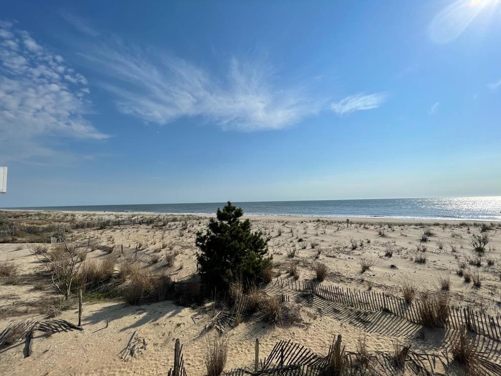 Sea Strand - Photo 17