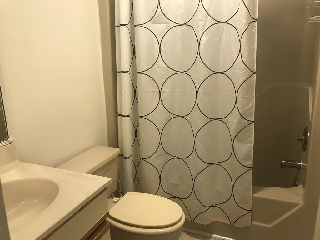 Bath1  (Living Level)