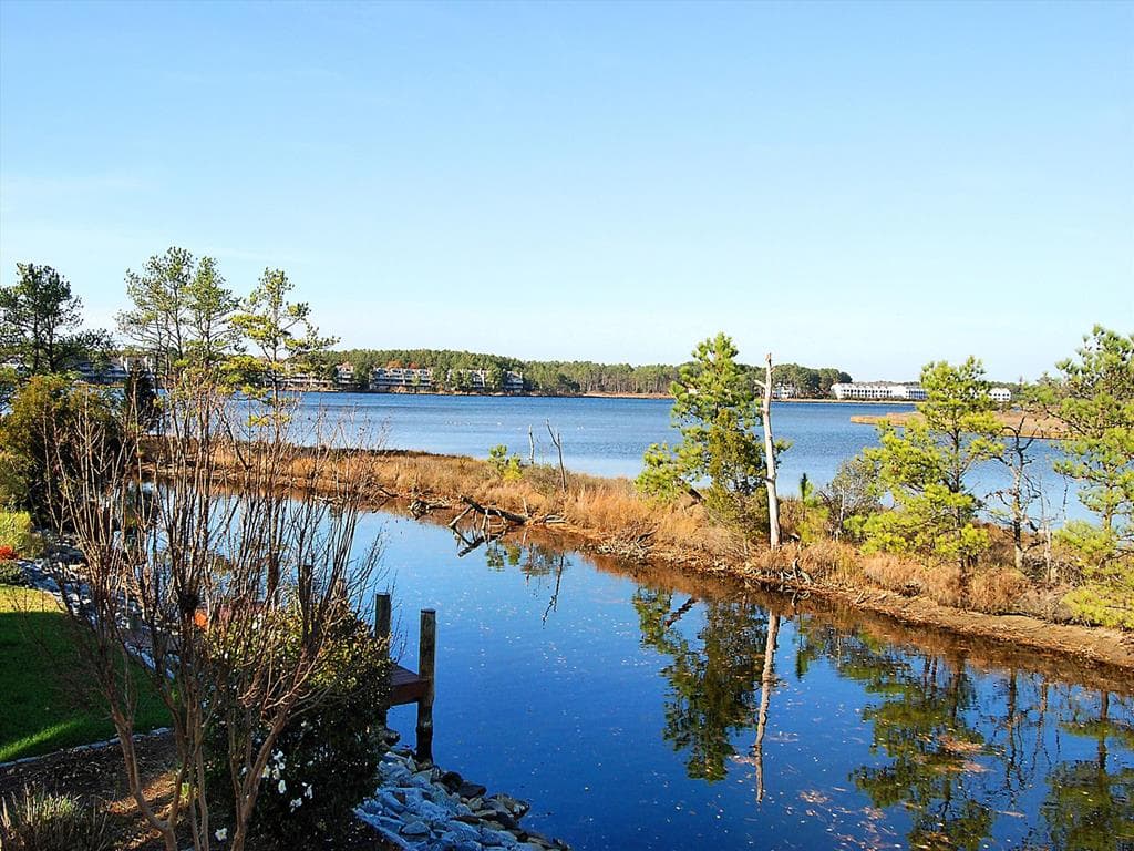 McGuire J - Photo 29