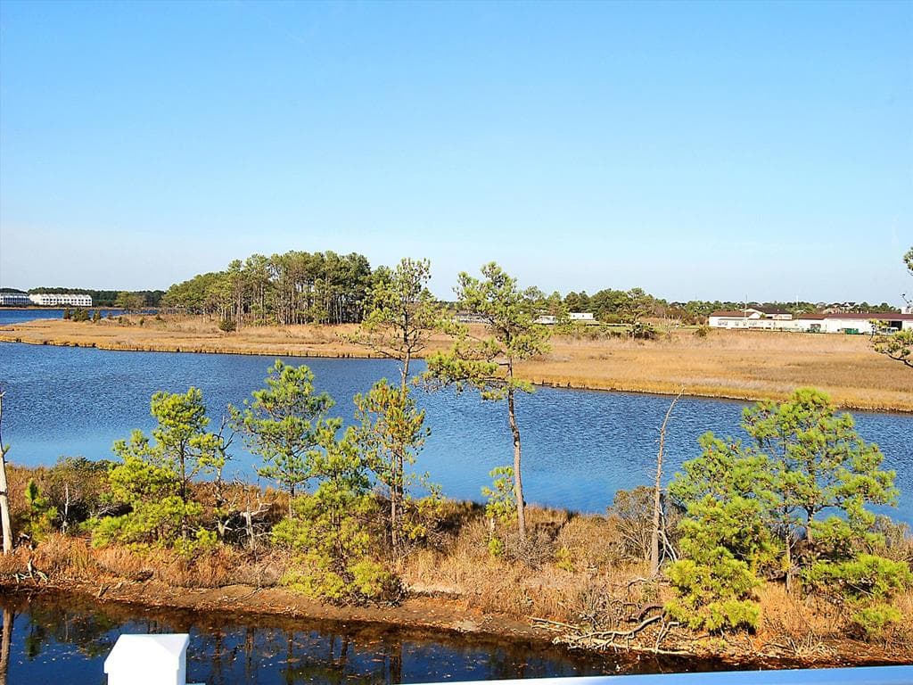 McGuire J - Photo 44