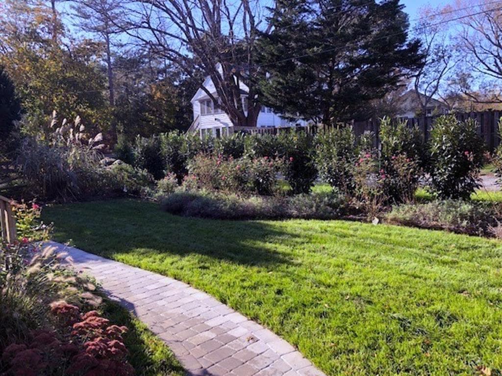 Yard w/new Landscaping