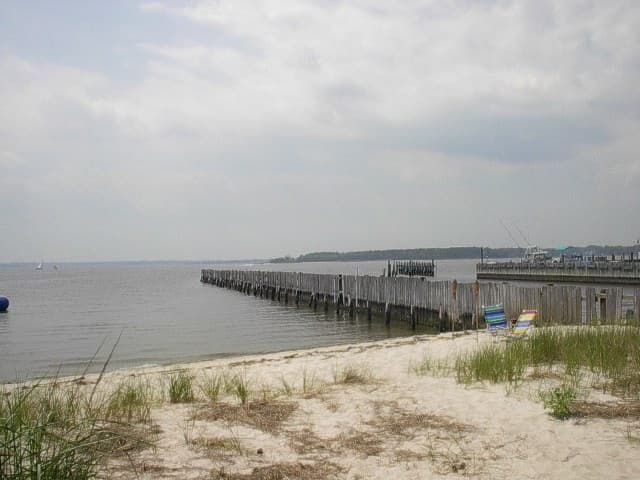 114 Summer Winds - Photo 16