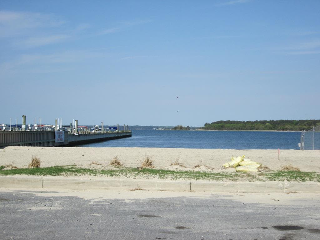 403 The Cove - Photo 4