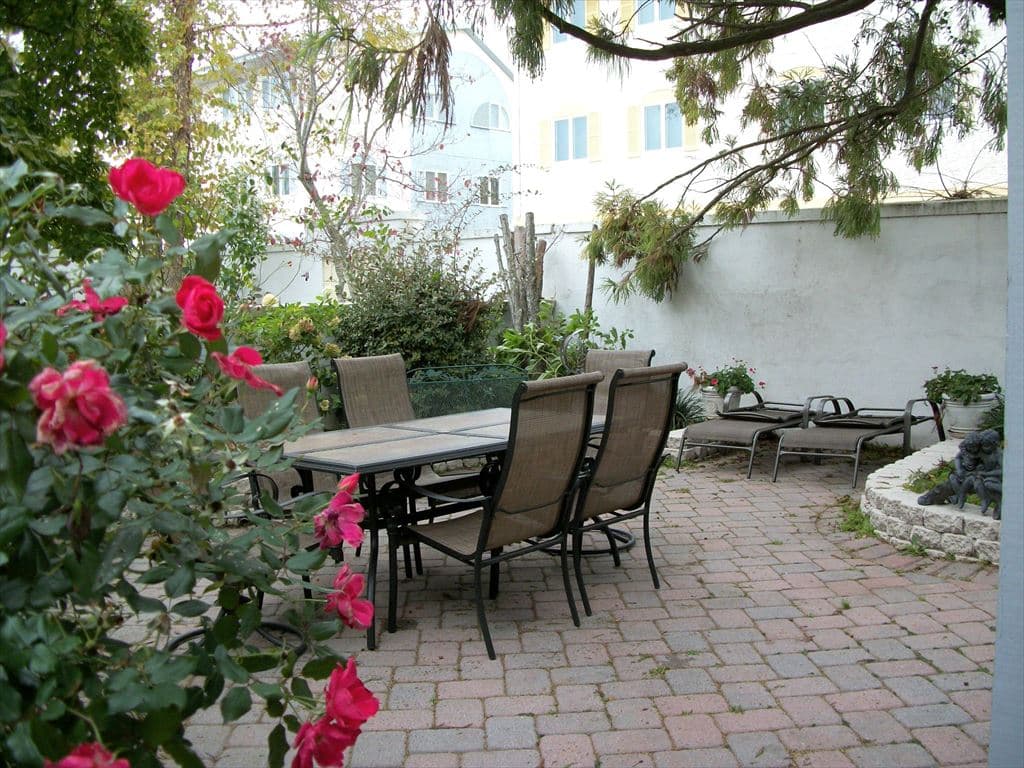 Patio Last Summer 2020 in Bloom