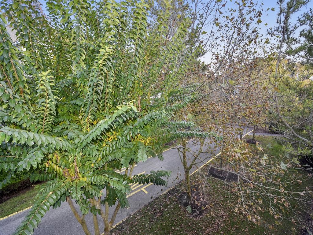 Federline - Photo 29